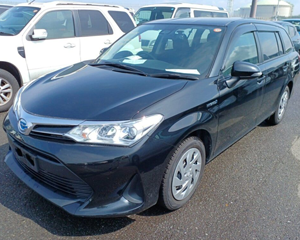 Toyota Corolla Fielder 2020