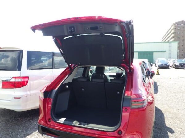 Honda Z Play Facelift Red 2024(Stock ID: 5344) - Image 2